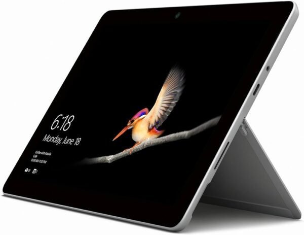 Ecran pour Microsoft Surface Go (1824)