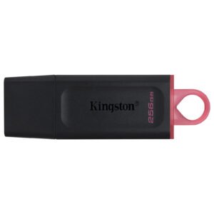 KINGSTON Clef USB 256Go